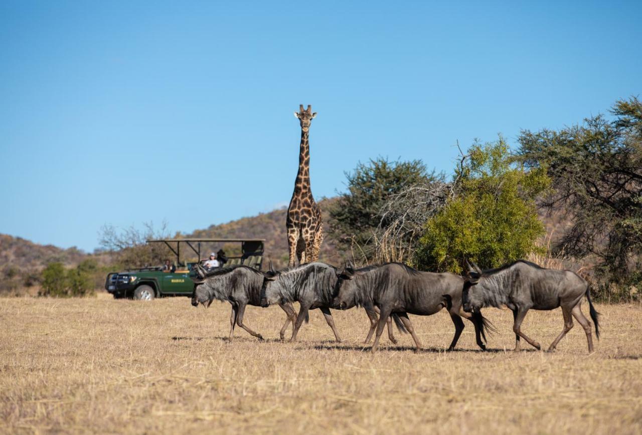Mabula Game Lodge Mabula Game Reserve Buitenkant foto